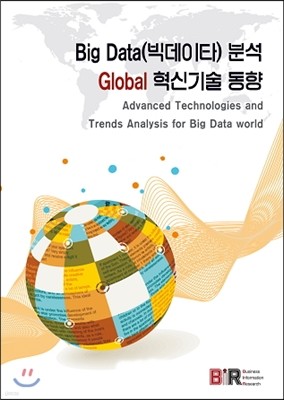 Big Data(빅데이타) 분석 Global 혁신기술 동향