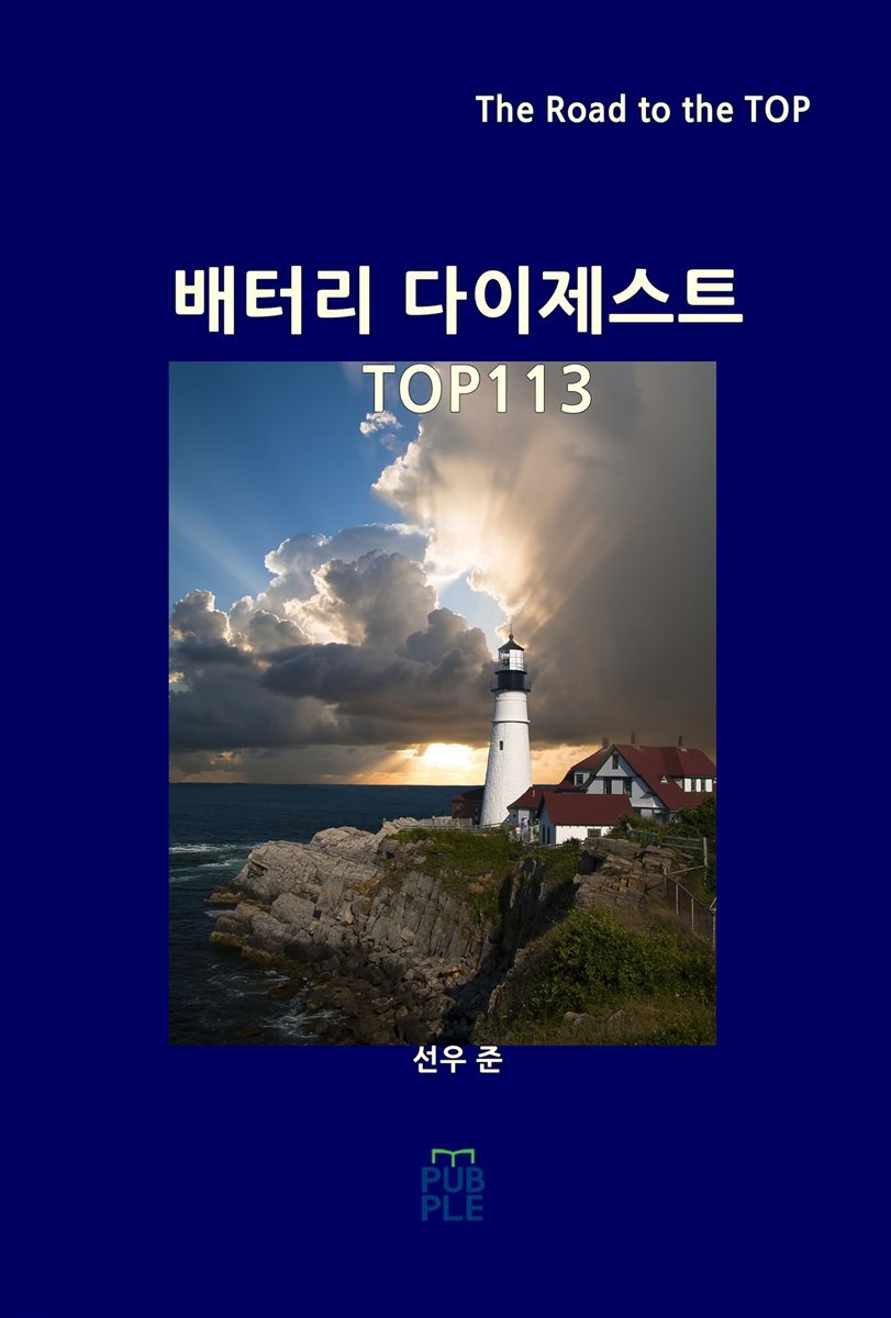 배터리 다이제스트 TOP113