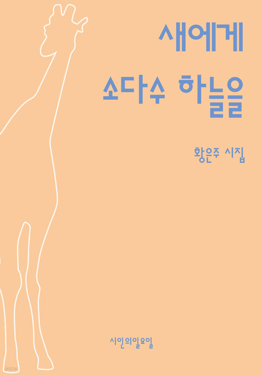 새에게 소다수 하늘을