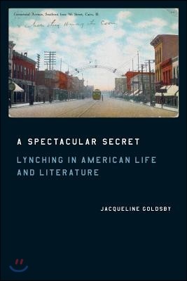 A Spectacular Secret: Lynching in American Life and Literature