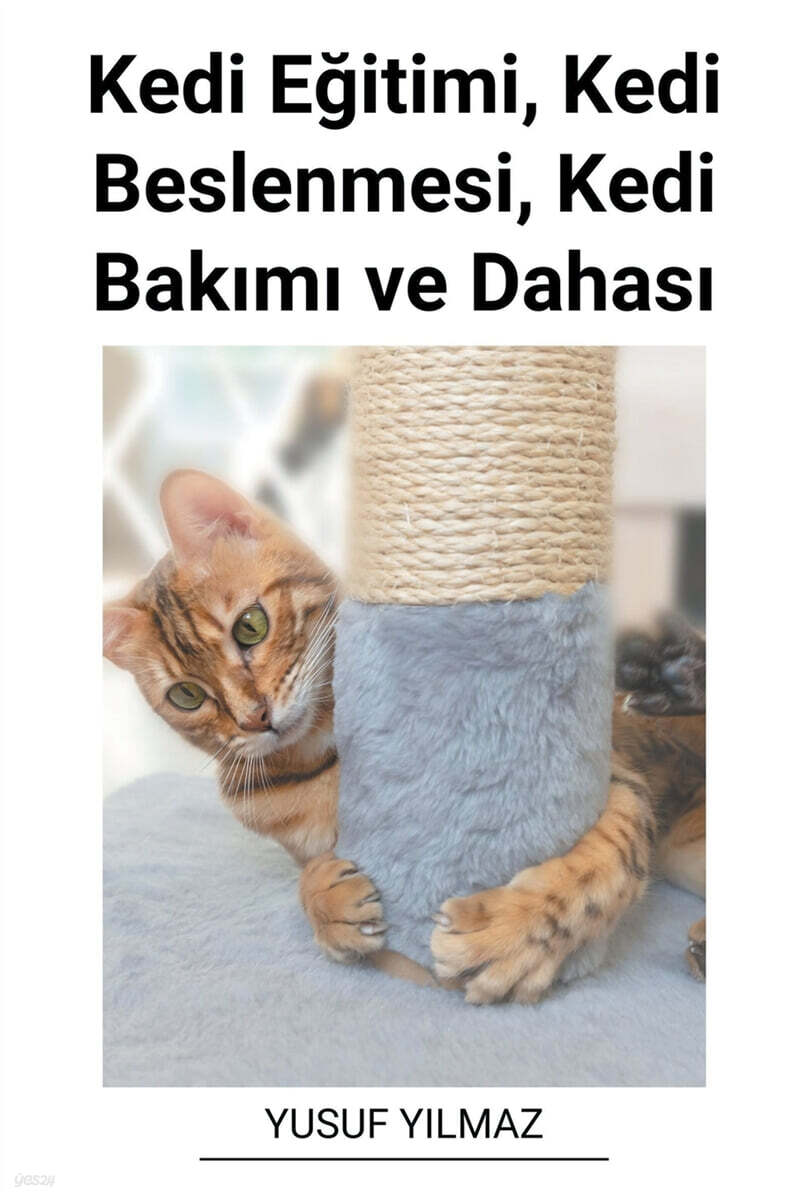 Kedi E?itimi, Kedi Beslenmesi, Kedi Bakımı ve Dahası