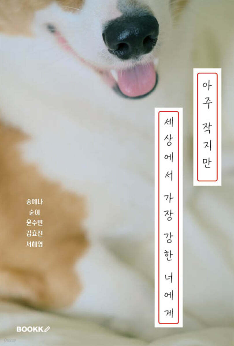 아주 작지만 세상에서 가장 강한 너에게