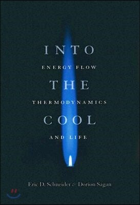 Into The Cool
