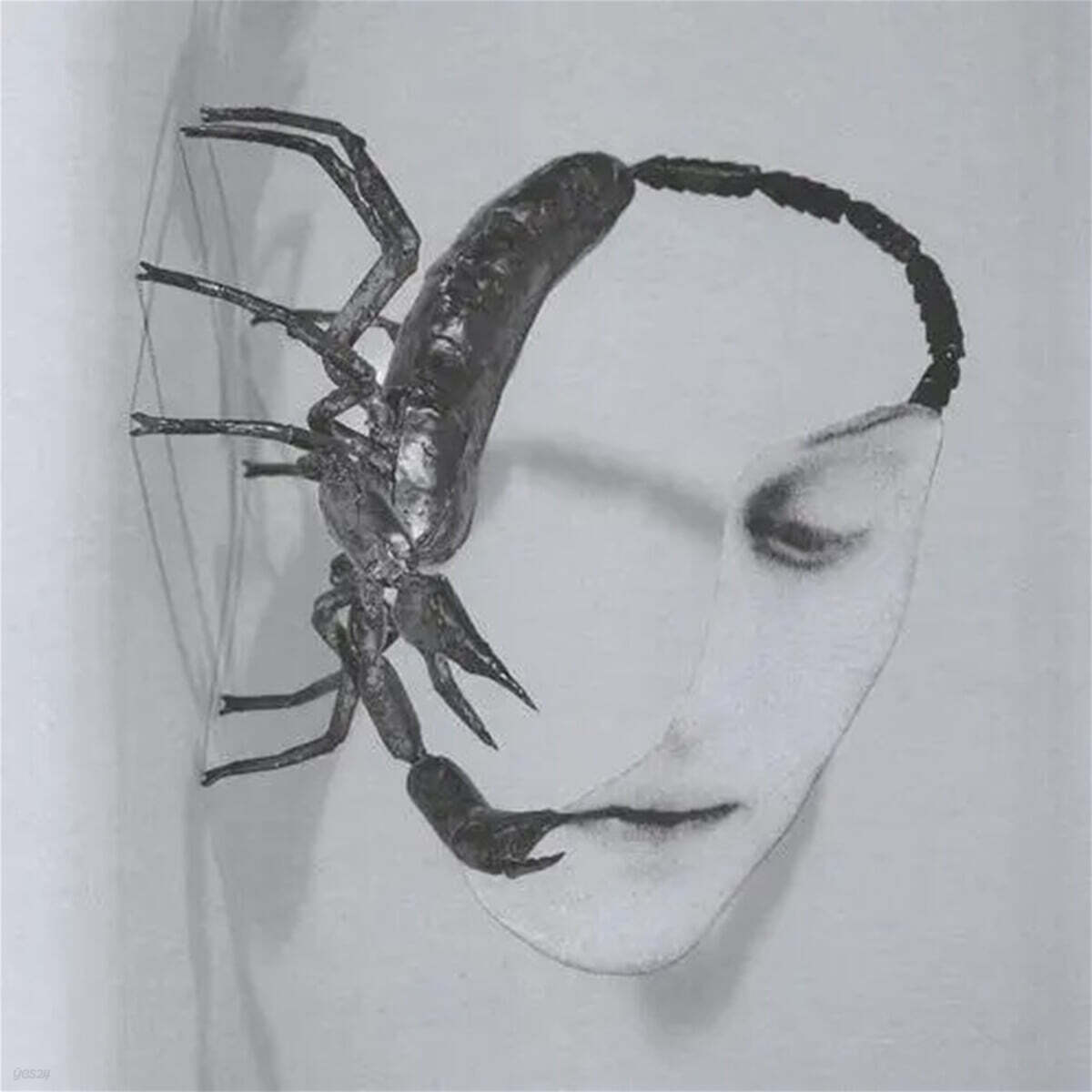 Tortoise (토터스) - Touch [그린 컬러 LP]