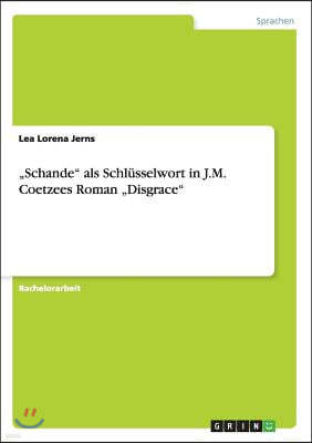 "schande ALS Schl?sselwort in J.M. Coetzees Roman "disgrace