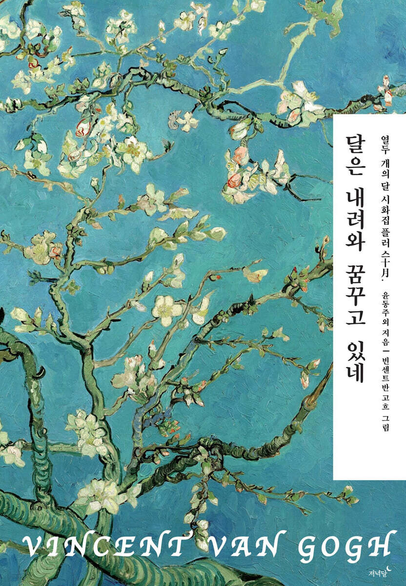 달은 내려와 꿈꾸고 있네