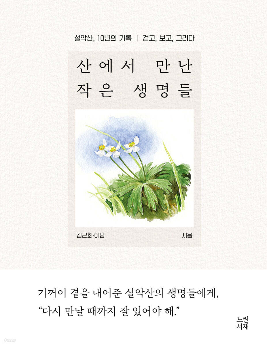산에서 만난 작은 생명들
