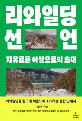 책 정보