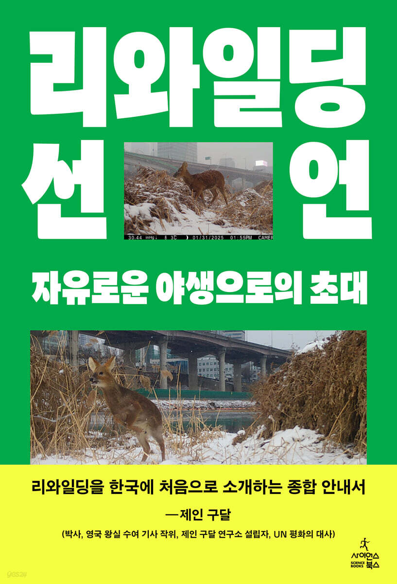리와일딩 선언