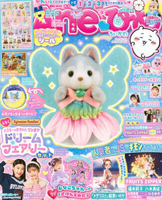 Aneひめ vol.19
