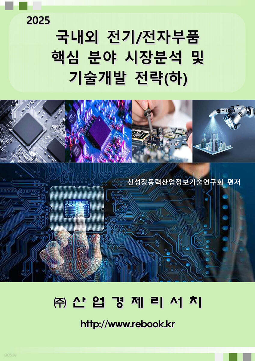 국내외 전기/전자부품 핵심 분야 시장분석 및 기술개발 전략(하)