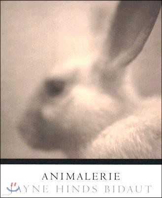 Animalerie