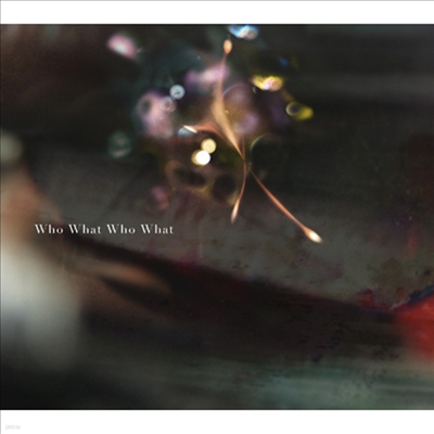 ϪȪ (׽ñ) - Who What Who What (CD+DVD) (ȸ)