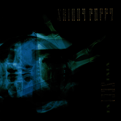 Skinny Puppy — Vivi Sect VI 앨범 커버