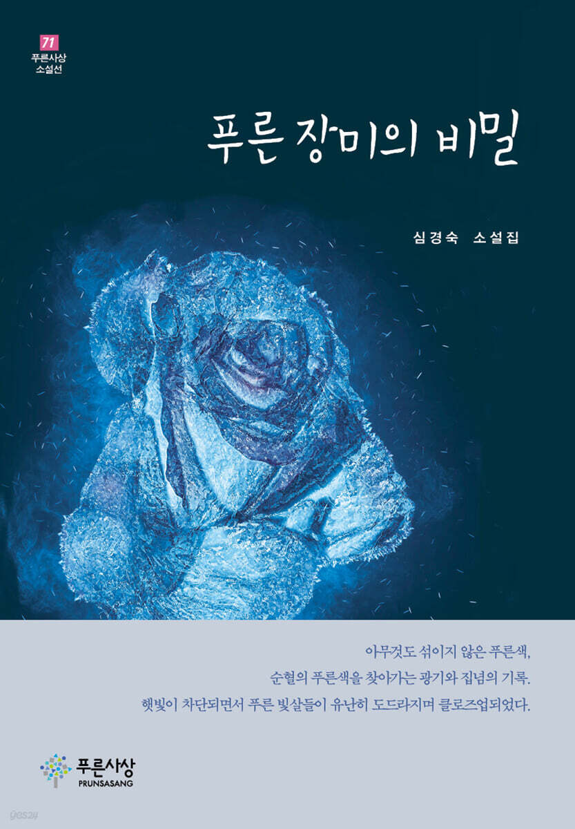 푸른 장미의 비밀
