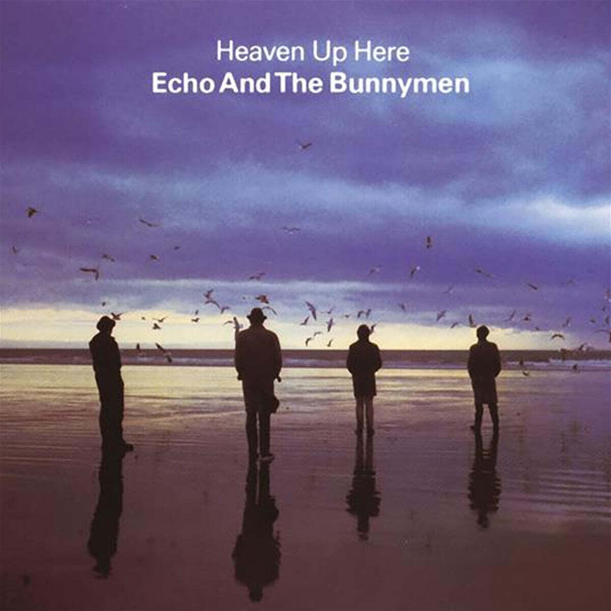 Echo & The Bunnymen (에코 앤 더 버니멘) - Heaven up Here