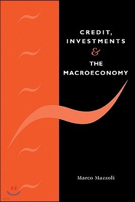 Credit, Investments and the Macroeconomy