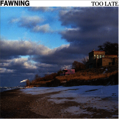 Fawning — Too Late (Indie Exclusive)(180) 앨범 커버