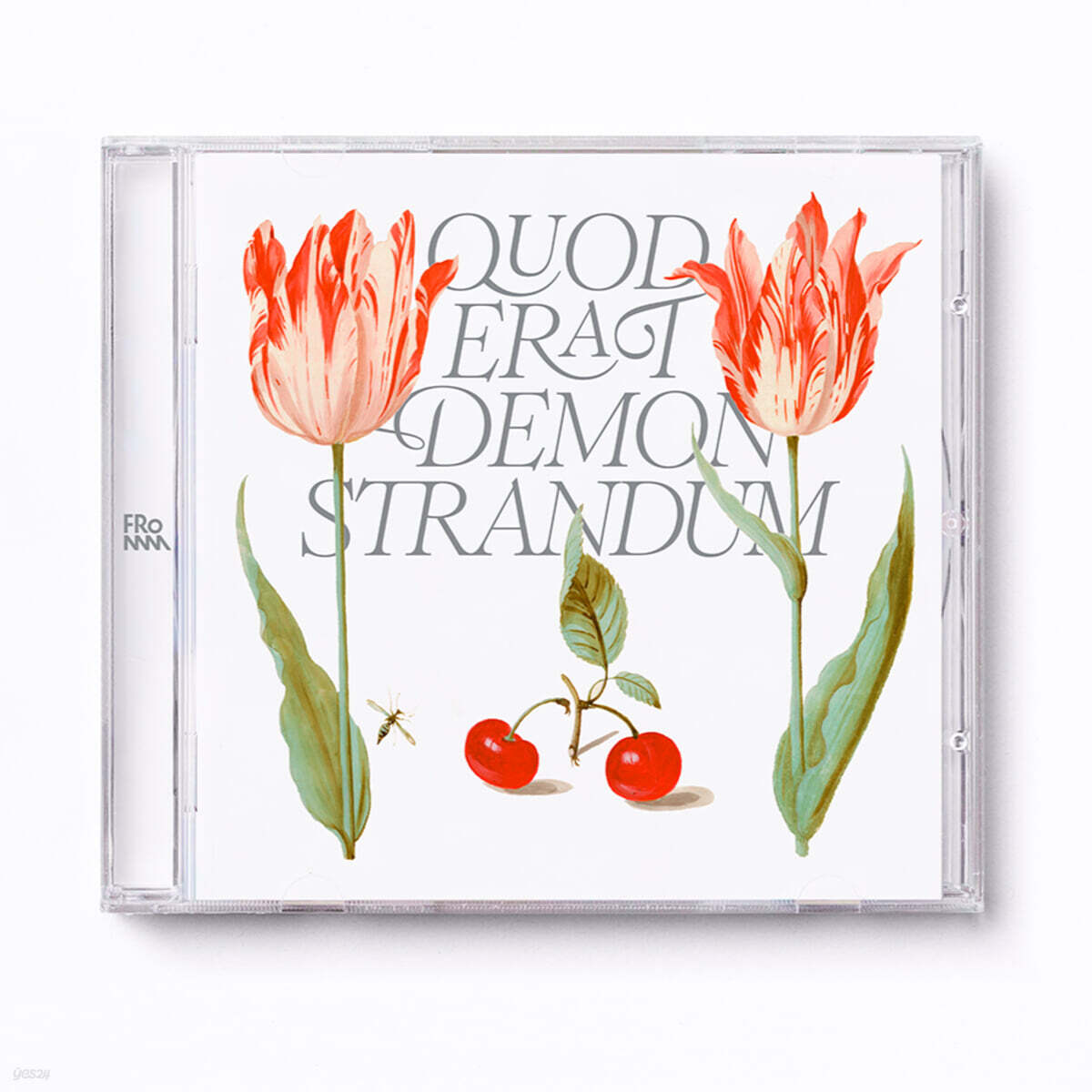 프롬 (Fromm) - EP : Q.E.D