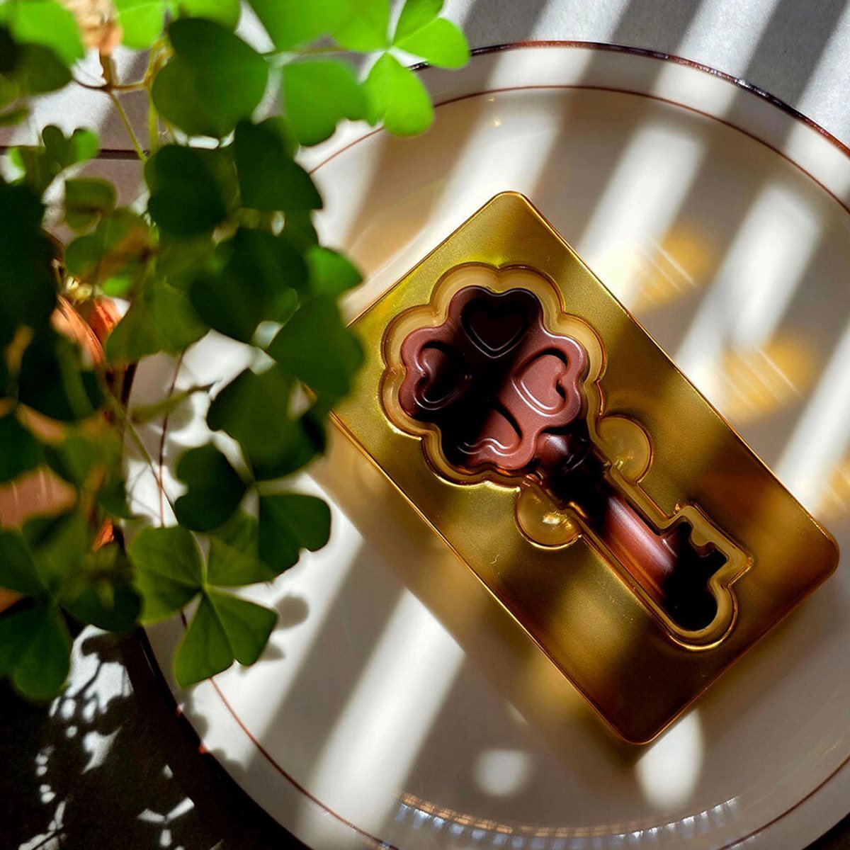 [그래잡화점][무료배송] 수능합격기원_행운의 열쇠 초콜릿 8개