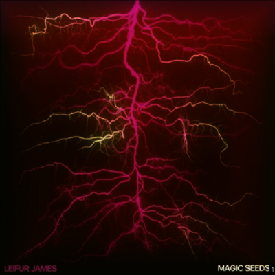 Leifur James — Magic Seeds 앨범 커버