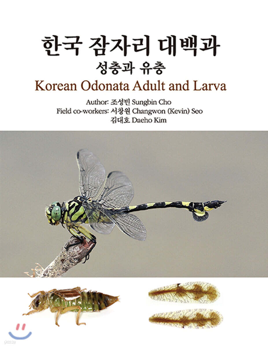 한국 잠자리 대백과