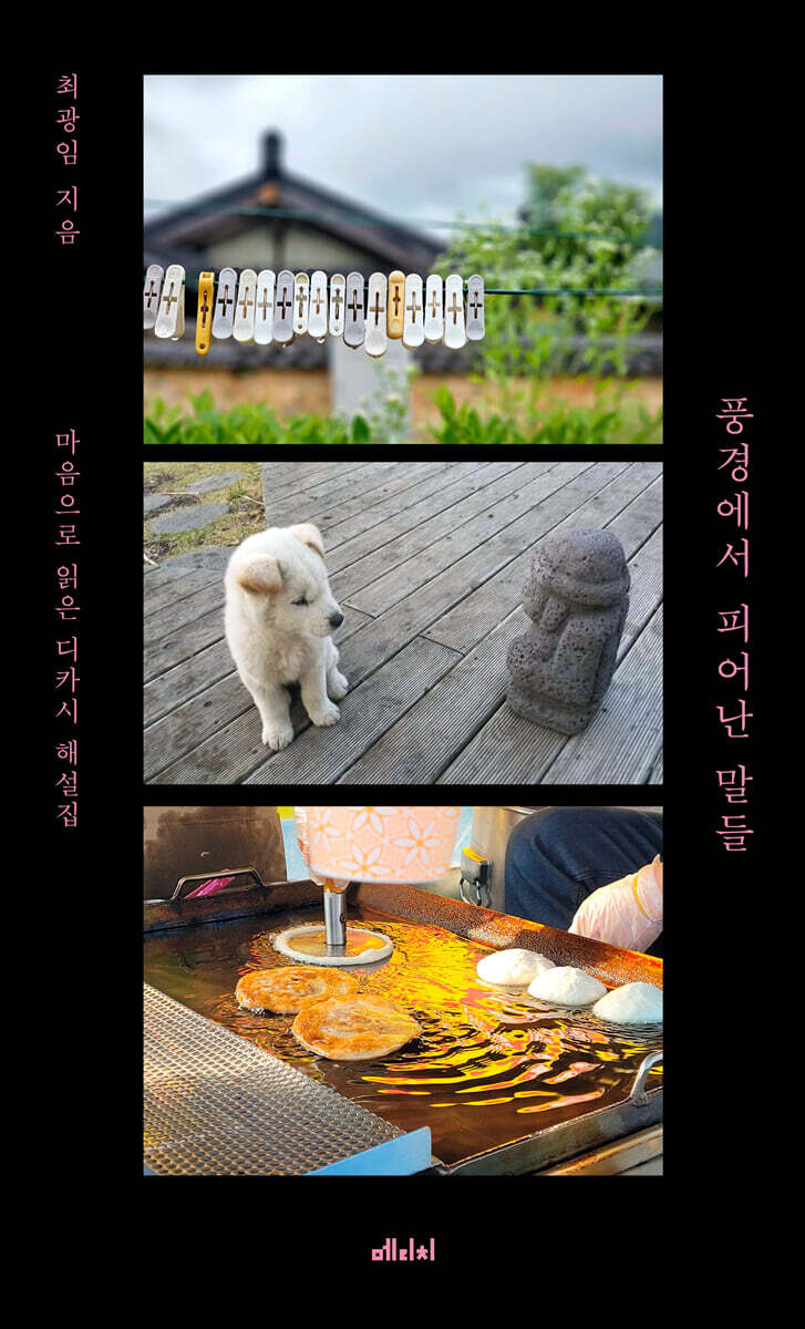 풍경에서 피어난 말들 (큰글자도서)