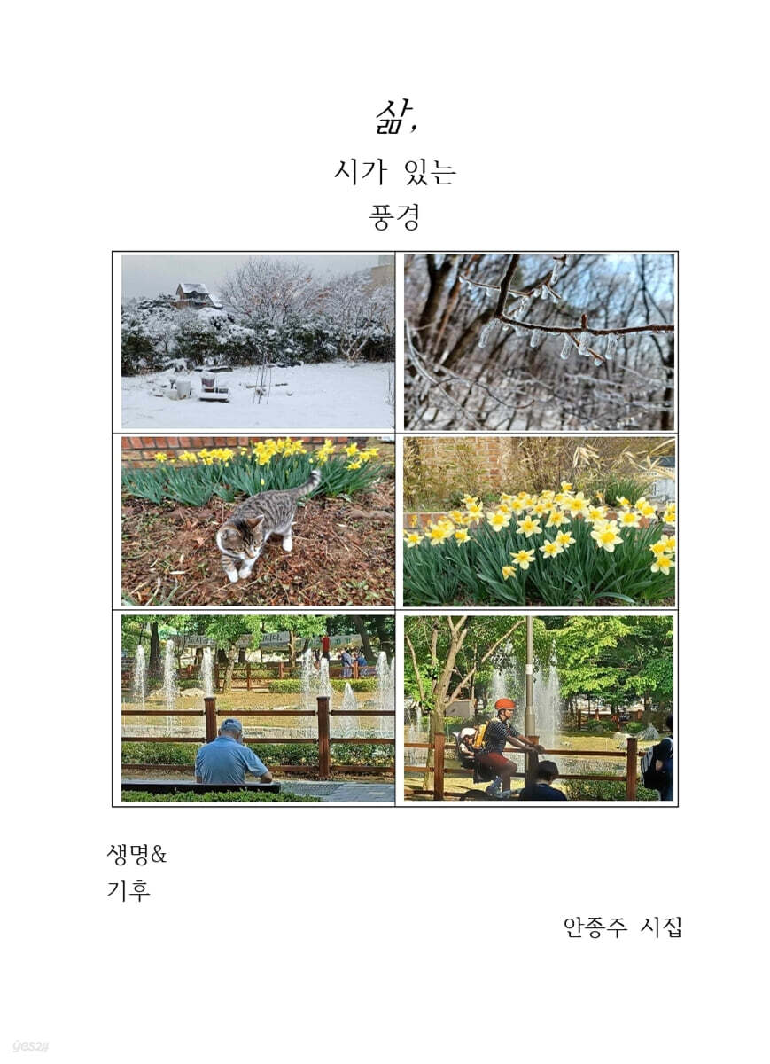 삶, 시가 있는 풍경