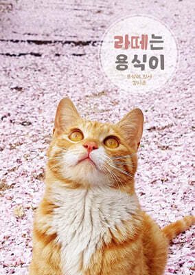 라떼는 용식이