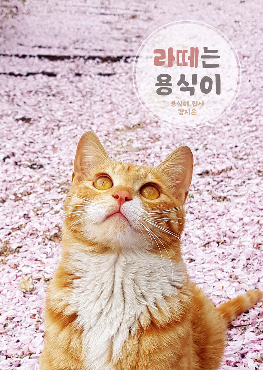 라떼는 용식이