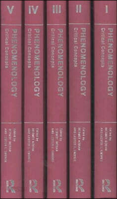 Phenomenology