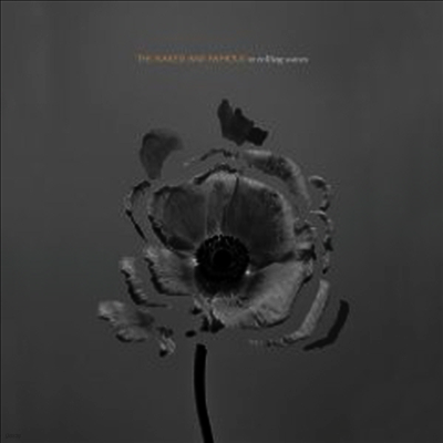 Naked & Famous — In Rolling Waves (Gatefold Cover) 앨범 커버