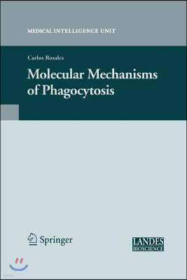 Molecular Mechanisms of Phagocytosis