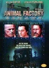 애니멀 팩토리(Animal Factory)