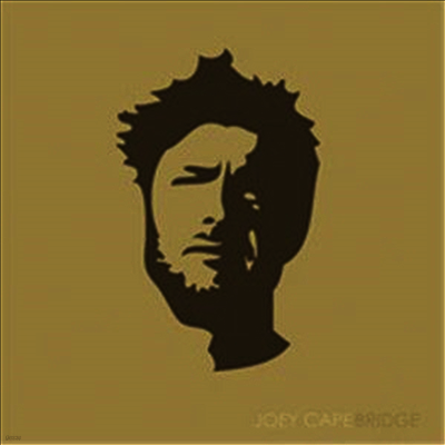 Joey Cape — Bridge 앨범 커버