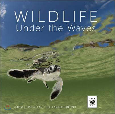 Wildlife Under the Waves