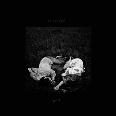 Wild Cub — Youth 앨범 커버
