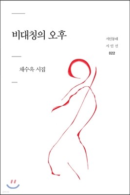 비대칭의 오후