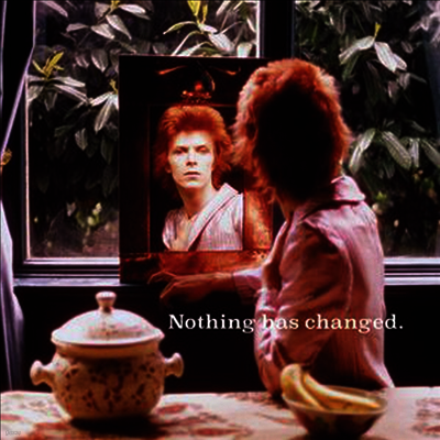 David Bowie — Nothing Has Changed (Gatefold) 앨범 커버