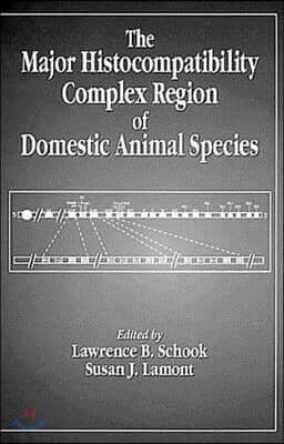 The Major Histocompatibility Complex Region of Domestic Animal Species