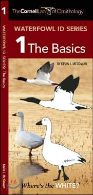 Waterfowl Id Series: 1 the Basics