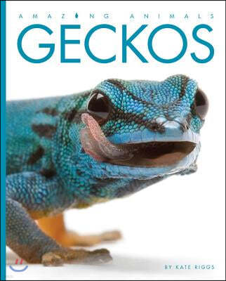 Amazing Animals Geckos