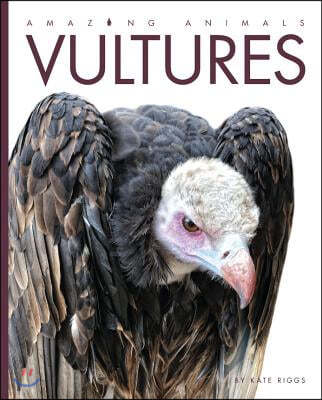 Amazing Animals Vultures
