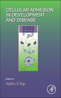 Cellular Adhesion in Development and Disease: Volume 112