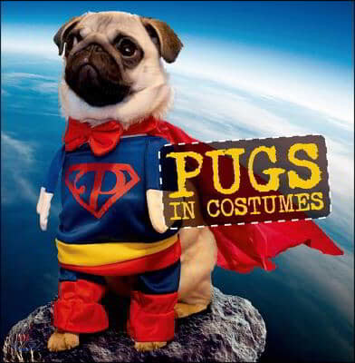 Pugs in Costumes