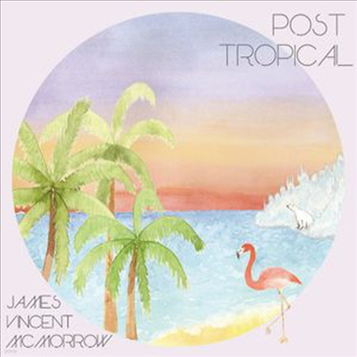 James Vincent Mcmorrow - Post Tropical (Vinyl LP)