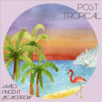 James Vincent Mcmorrow — Post Tropical 앨범 커버