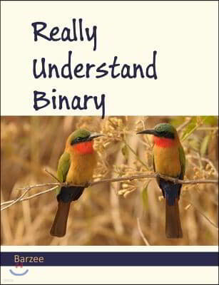 Really Understand Binary