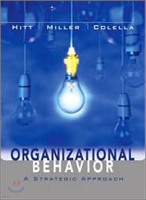 Organizational Behavior : A Strategic Approach