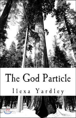 The God Particle
